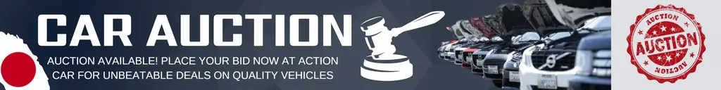 Auction now